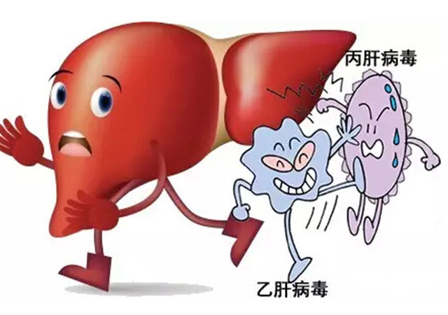 乙肝特效药TAF了解一下