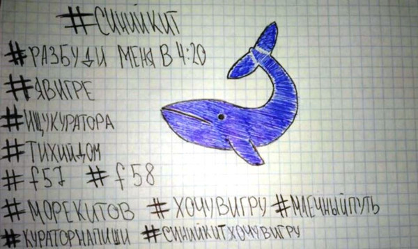 玩家从"4点20分起床"开始,按照自杀游戏"蓝鲸"的指示完成各种任务 图