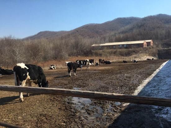 福建省重拳整治畜禽养殖污染 基本实现达标排