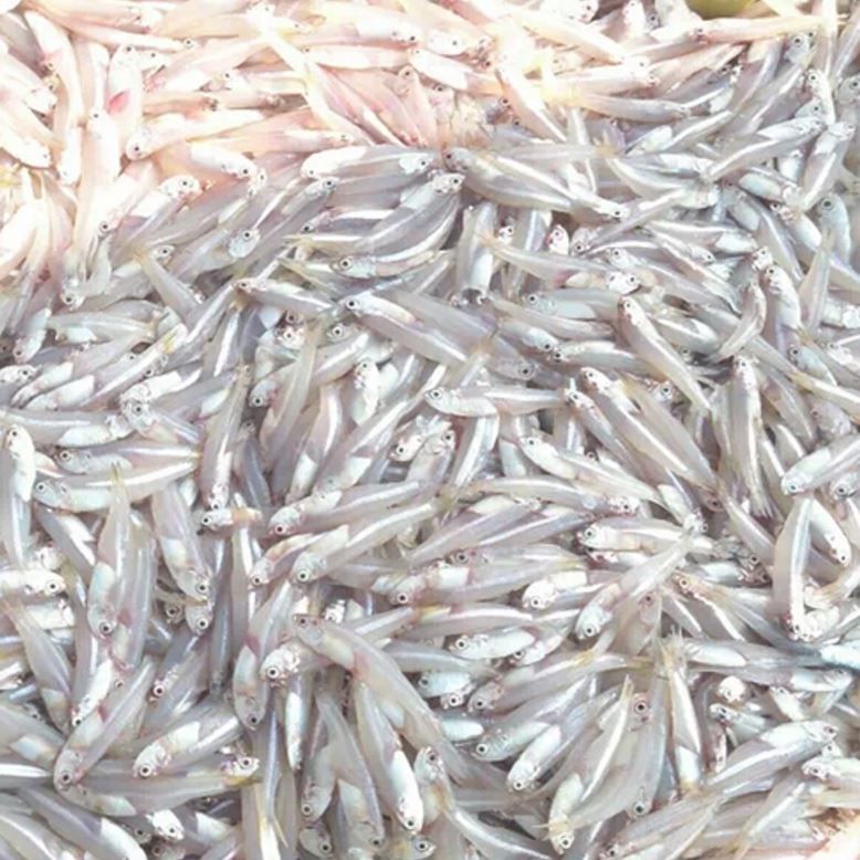 三伏天男性多吃这些碱性食物,营养比海参高,越