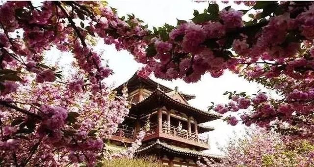 抖音的西安火起来啦~要不要去西安拍抖音?五