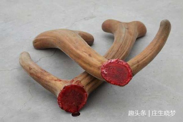 男性朋友注意了,买点回来泡茶喝胜过吃补药,不