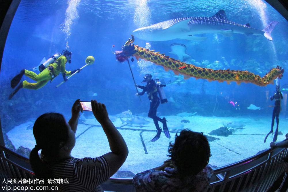 2017年5月27日,山东烟台一海洋公园的潜水员们正在精心排练他们自编自演的“水下舞龙”节目,用妙趣横生的表演和全新的视觉体验迎接即将到来的端午节假期。