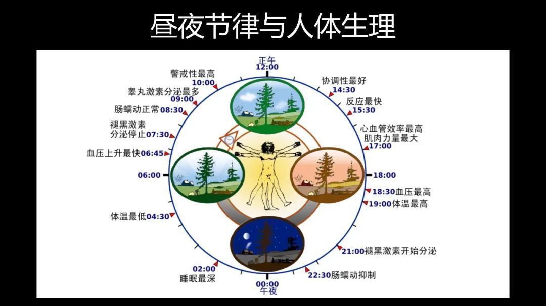 张二荃:挑战生物钟,你的基因允许吗 张二荃:挑战生物钟,你的基因允许吗
