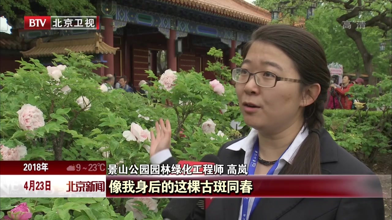 第22届景山公园牡丹文化艺术节开幕 第22届景山公园牡丹文化艺术节开幕