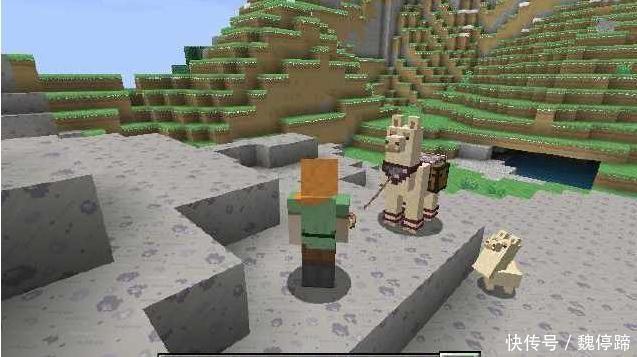 《我的世界》:关于神兽羊驼,还有这样的趣事,你