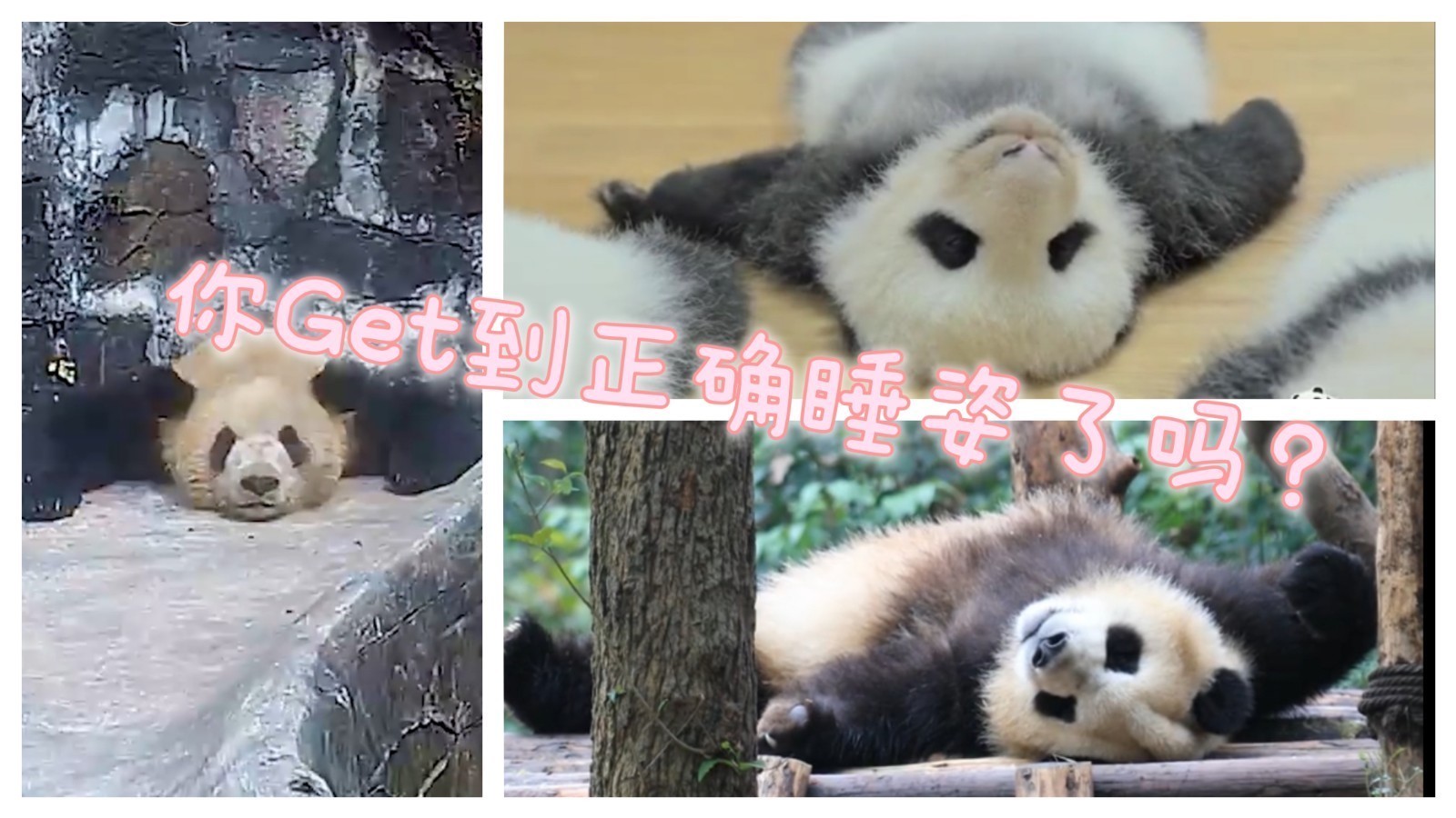 “还阳卧”登上热搜!网红睡姿真的能助眠吗?你的睡姿正确吗? “还阳卧”登上热搜!网红睡姿真的能助眠吗?你的睡姿正确吗?