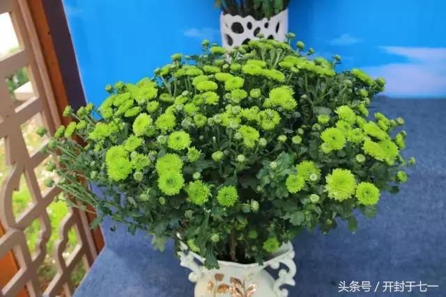 开封旅游老司机 写了个五一开封游计划