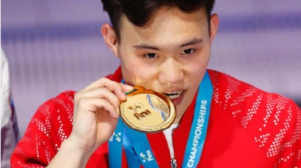2017国际泳联世锦赛金牌榜公布:12金12银6铜