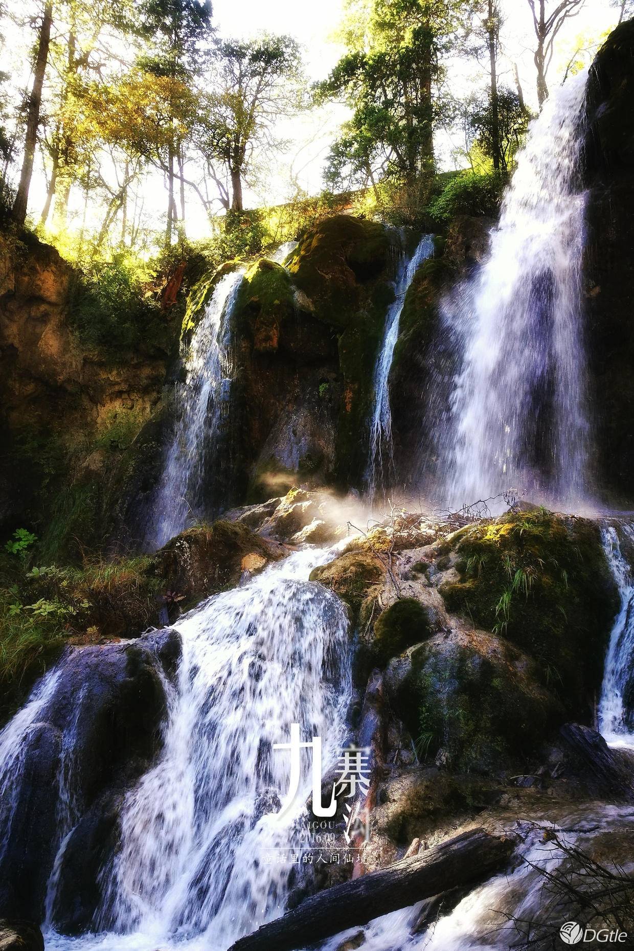 重回那个童话般的人间仙境丨数字尾巴