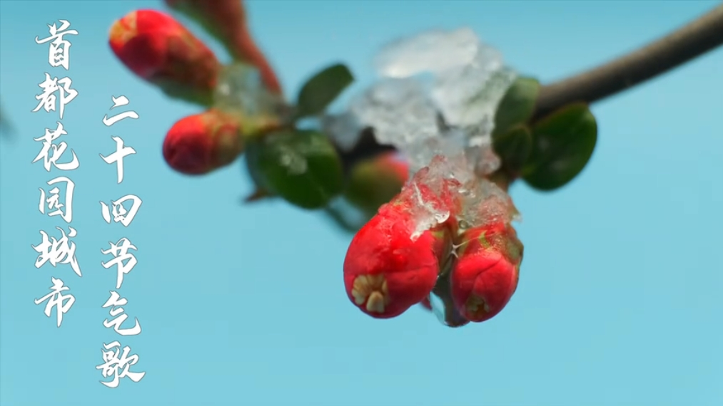 首都花园城市二十四节气歌
