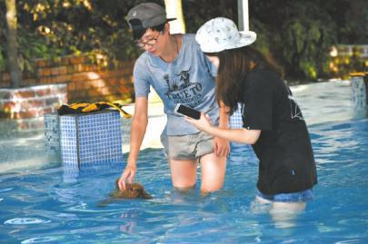 市民陪狗狗游泳。