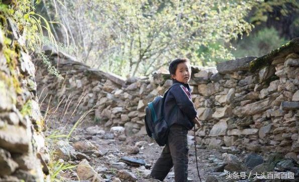 我辛苦养大继子,他成家后与我断绝往来,儿媳道