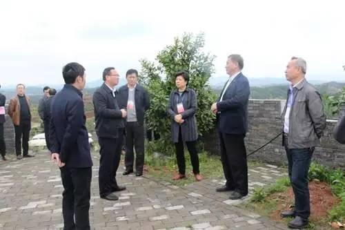 上饶市政协对供销社综合改革提出新要求