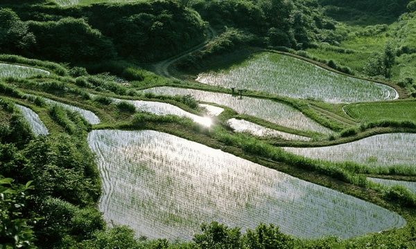 休闲农业策划专家教你确定养生养老休闲农业产
