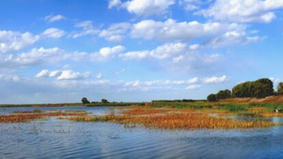 【生态文明@湿地】黑龙江哈东沿江湿地申报国际重要湿地 【生态文明@湿地】黑龙江哈东沿江湿地申报国际重要湿地