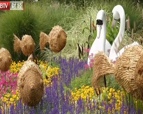 市属公园国庆花坛亮相  丰富文化大餐等您体验