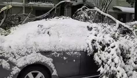 下雪天爱车被冻怎么办?这些小窍门分分钟帮你