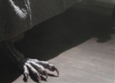 噩梦般的阴影 隐藏在“床上尸体”的传说