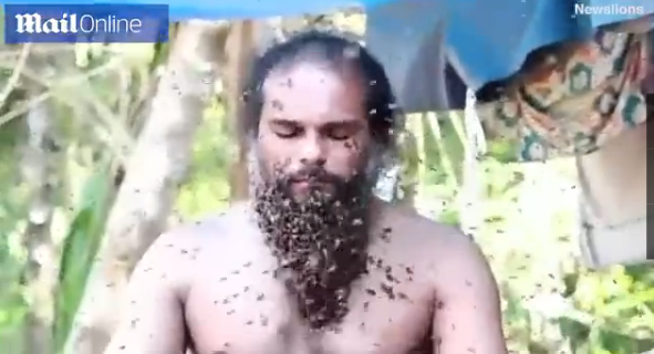 男子任数千只蜜蜂爬到脸上 当胡子毫无惧色