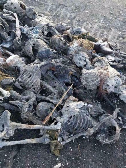 权力的游戏第八季片场照曝光 某重要角色将死