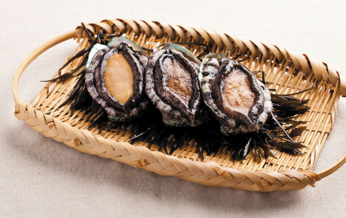 长海海珍品叫响渔博会