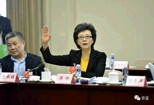 从不开口的电视女主播,在政协会上说了什么?|新闻动态-《对话中国品牌》栏目采编中心 从不开口的电视女主播,在政协会上说了什么?|新闻动态-《对话中国品牌》栏目采编中心