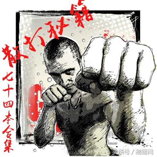 现代散打武术、一招制敌、搏击格斗术等现代武