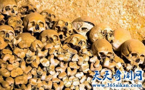 人类杀死了地球原住民,人类最恐怖的假说