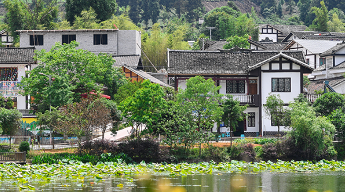 “姑娘不愿嫁进山”的贵州田家沟 靠它摘掉脱贫帽