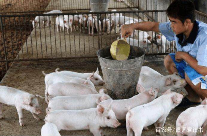 月薪过万白领辞职回乡创业失败:年轻人,创业没