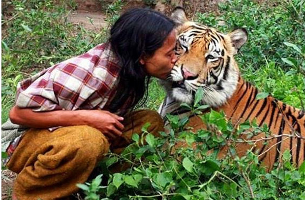 正好她也是一个人,这样就不孤独了,这一养就是这么多年,小老虎都长大