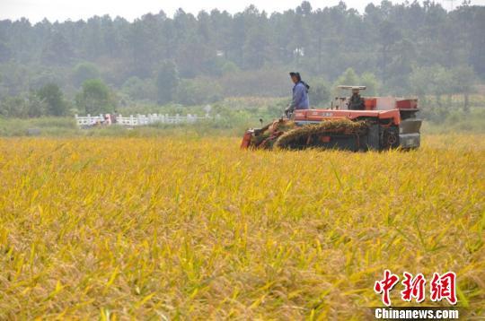 发改委:2011年后中国农民收入增长速度持续下降