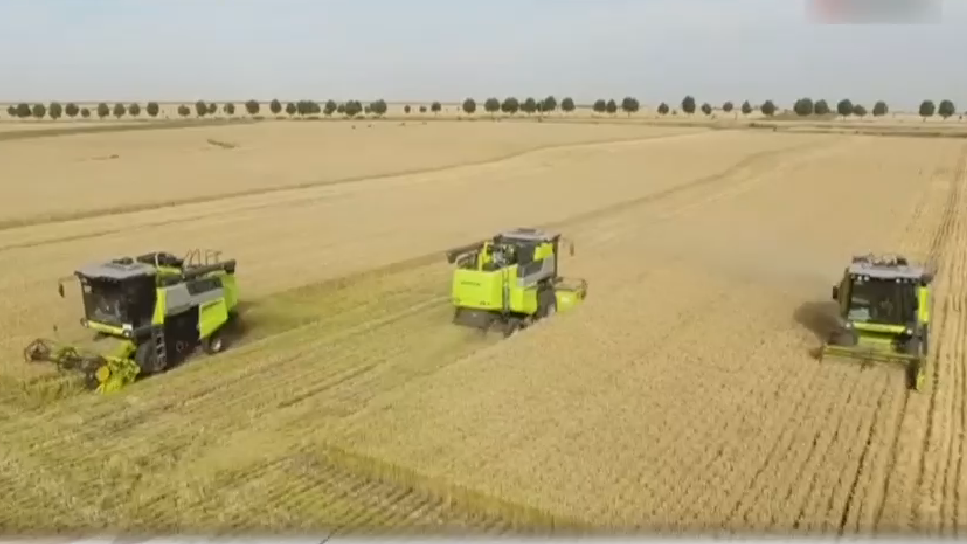 《中国农业产业发展报告2020》发布 2020年全国粮食产量预计达6.7亿吨 《中国农业产业发展报告2020》发布 2020年全国粮食产量预计达6.7亿吨