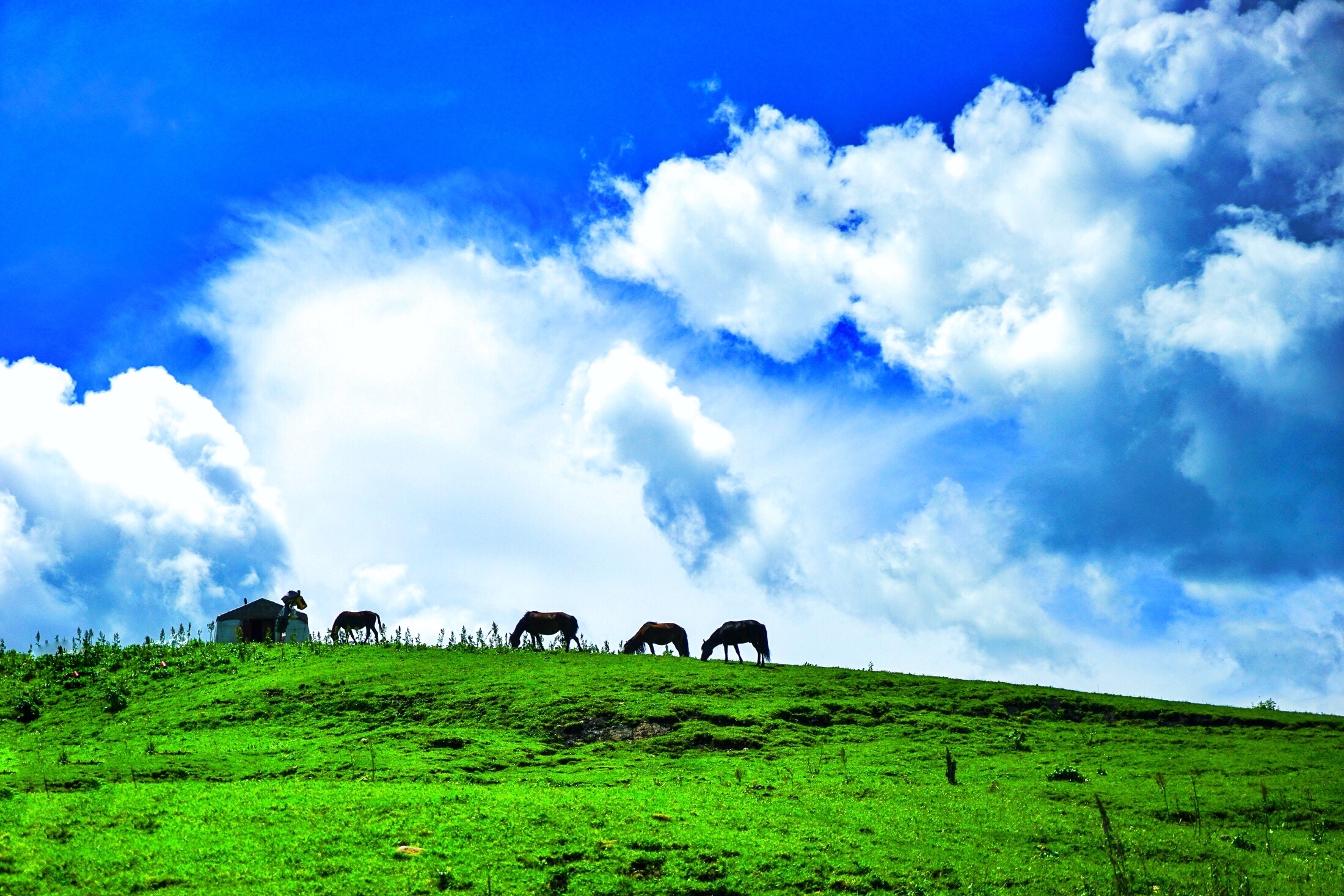 新疆天山腹地的世外桃源 小众低调却美得不落俗套