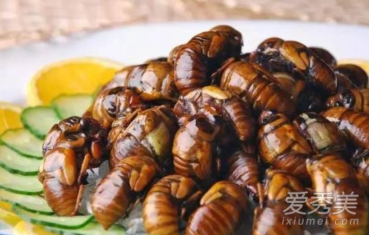 知了猴在土里要几年 知了猴在地下多少年出来