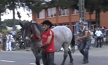 搞笑GIF:小马哥实在是太厉害了!