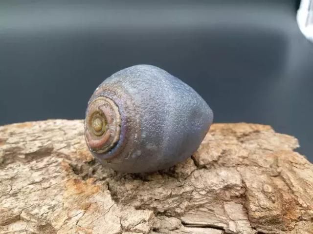 一眼万年,那些与天眼有关的句子