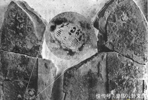 考古界不敢公开的秘密巨人遗骸是真的吗