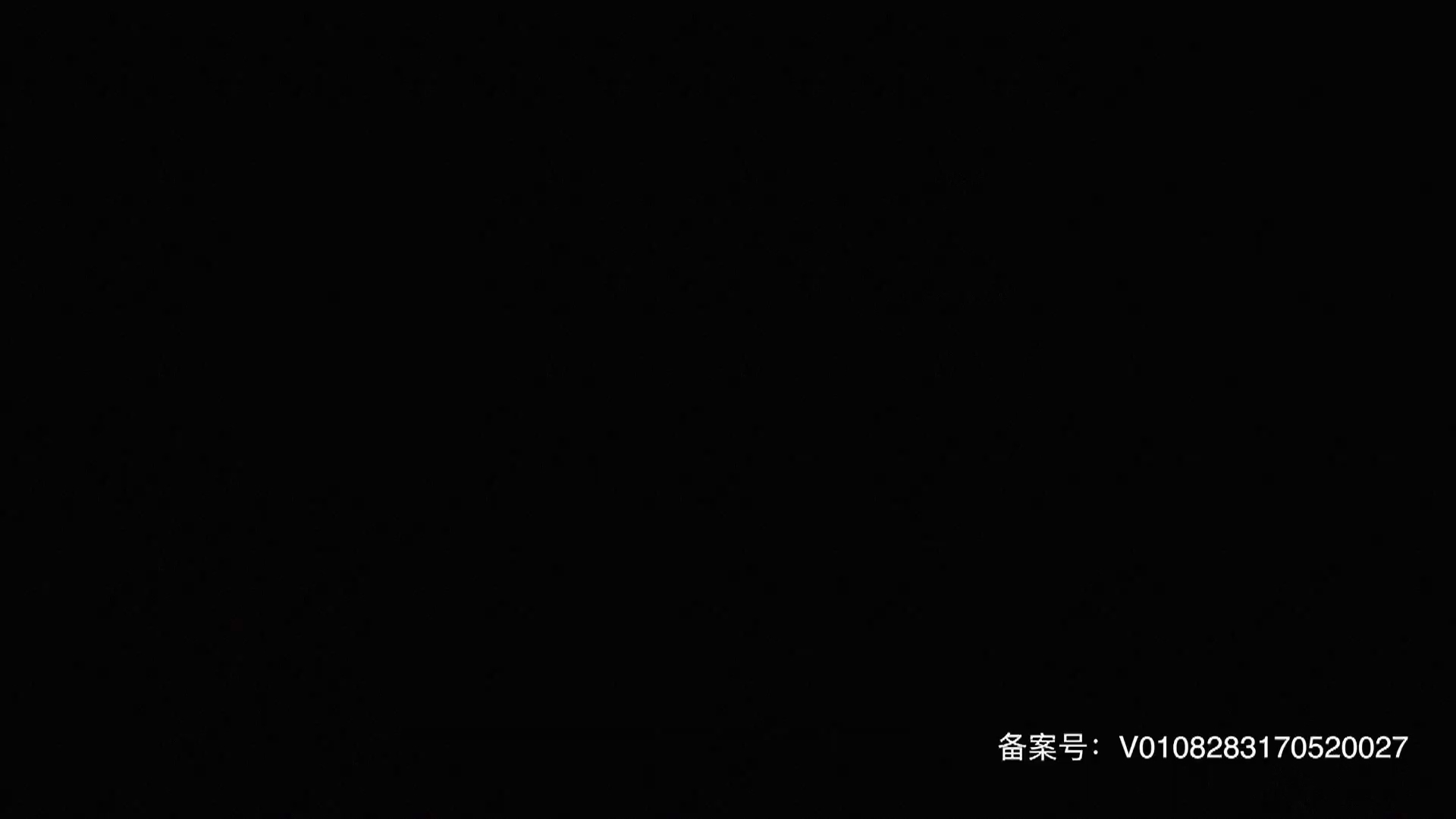 《了不起的匠人》第二季 第7集 他在上海造天坛