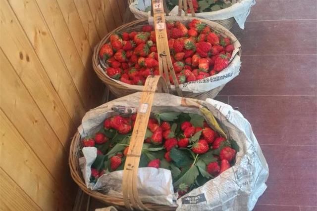 空心或畸形草莓能不能吃 专家解疑:可放心食用