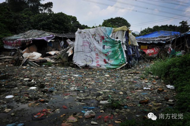 实拍广州贫民窟:孩童和猪鸡狗泥地打滚