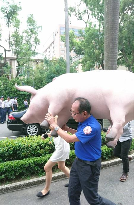台湾农民抗议当局进口美国猪 扛猪冲击 台湾农民抗议当局进口美国猪 扛猪冲击