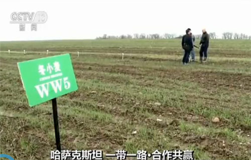 【一带一路·合作共赢】哈萨克斯坦:农业示范区 互补促发展 【一带一路·合作共赢】哈萨克斯坦:农业示范区 互补促发展