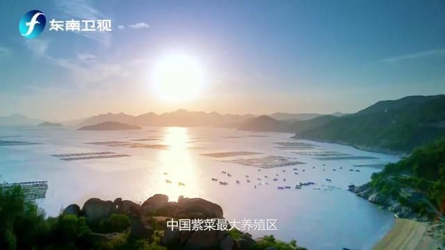 像一棵海草浪花里舞蹈,像海藻在你的餐桌上乐