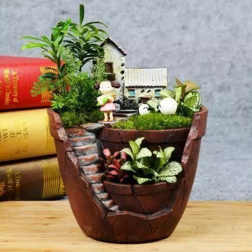 微景观生态瓶总是观赏不久?其实只需要做好这一步就好了!