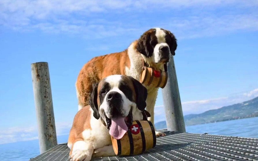 我不仅有冰雪,还有故事和酒,你跟不跟我走? 我不仅有冰雪,还有故事和酒,你跟不跟我走?