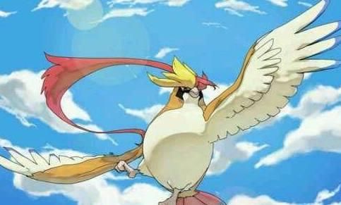 神奇宝宝:小智最强五大精灵,比雕第五,皮卡丘连号都排不上!