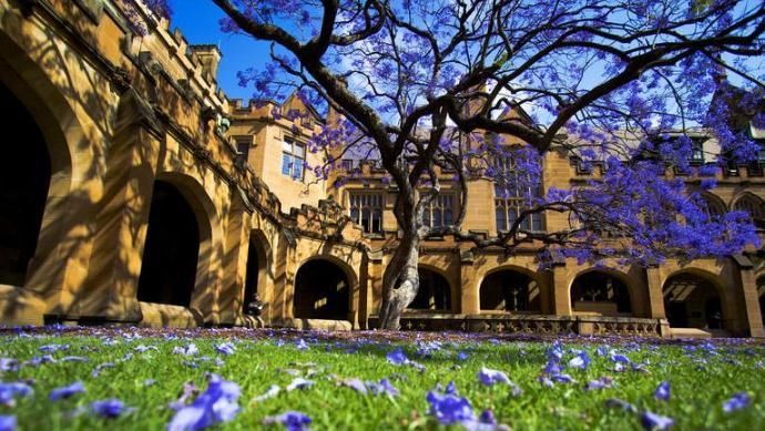 直接去澳洲读语言or在国内跟雅思死磕,你会如