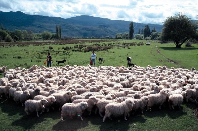 全球战略位置最好国家,领土超700万,为何就是